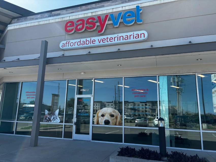 easyvet Katy